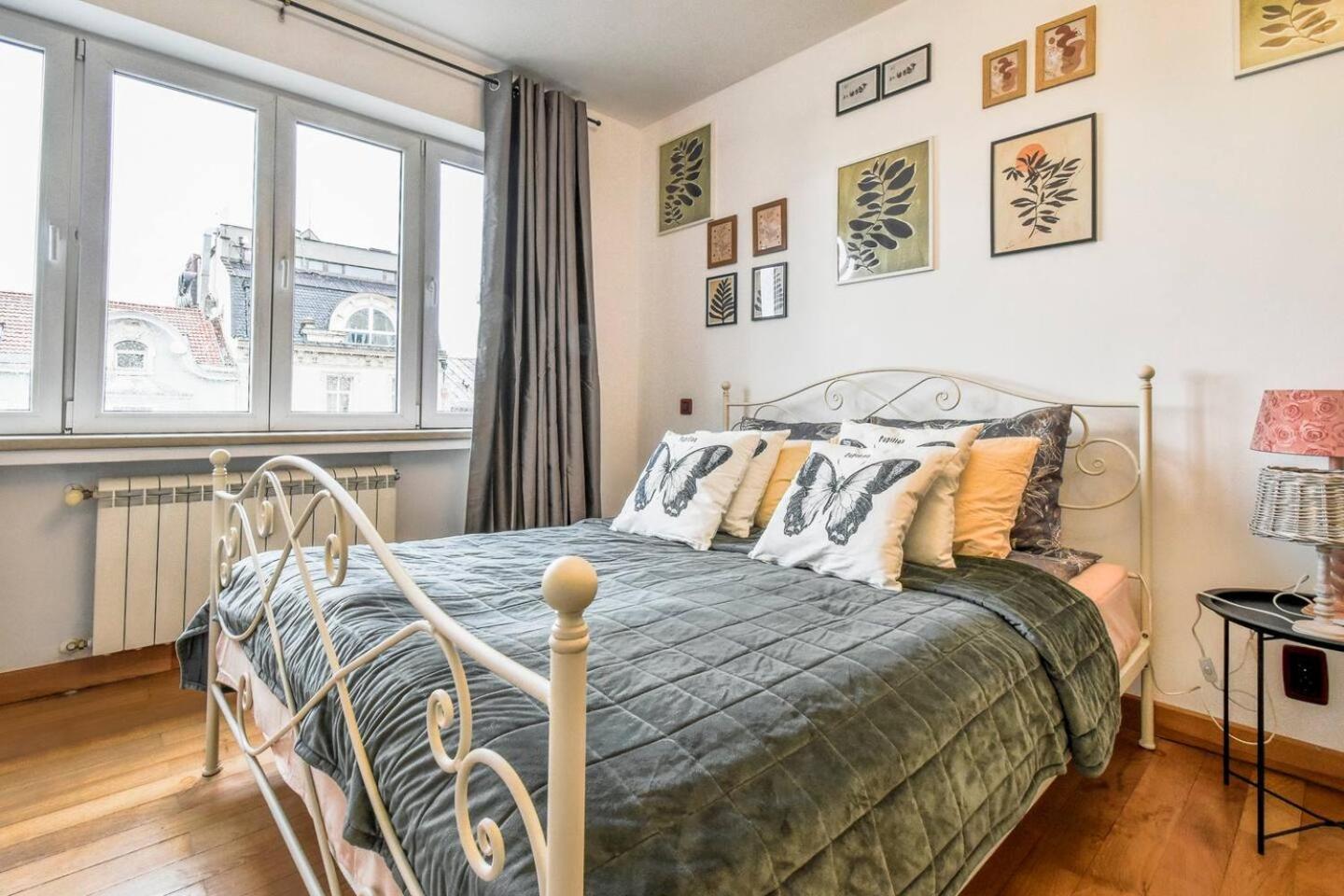Fully Equipped Vitoshka Area Spacious Metro * Sofia