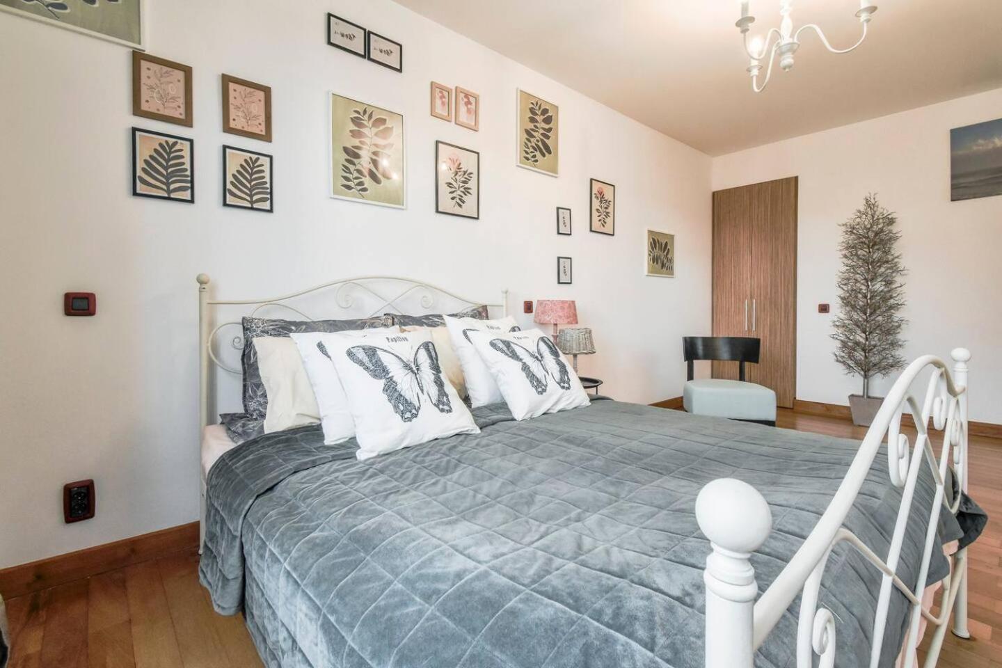 Fully Equipped Vitoshka Area Spacious Metro